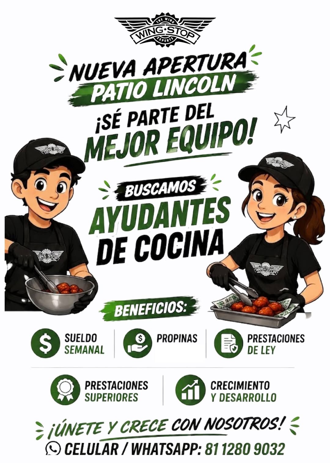 Ayudante de Cocina