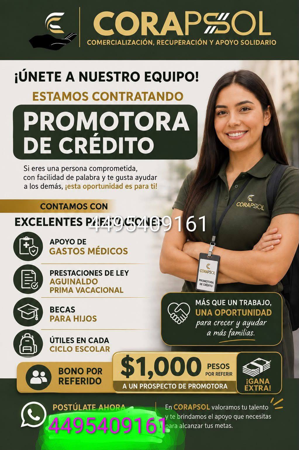 Vacante disponible