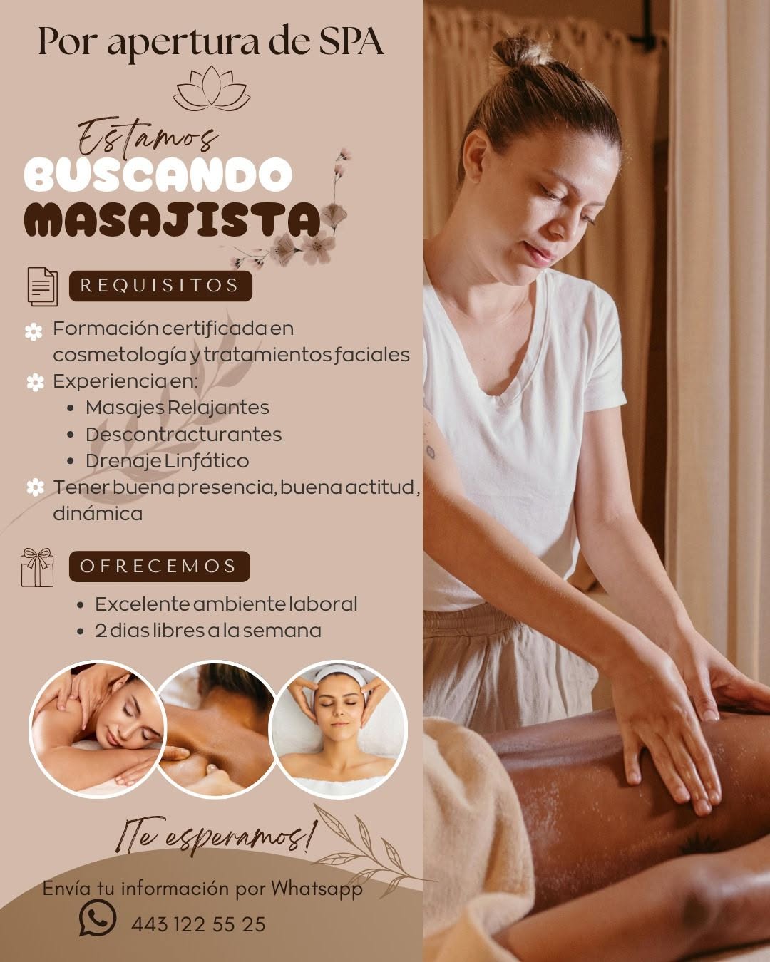 Masajista
