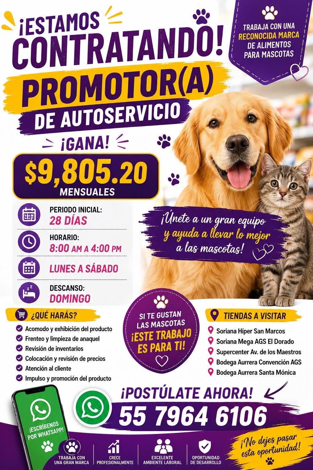Promotor(a) de Autoservicio