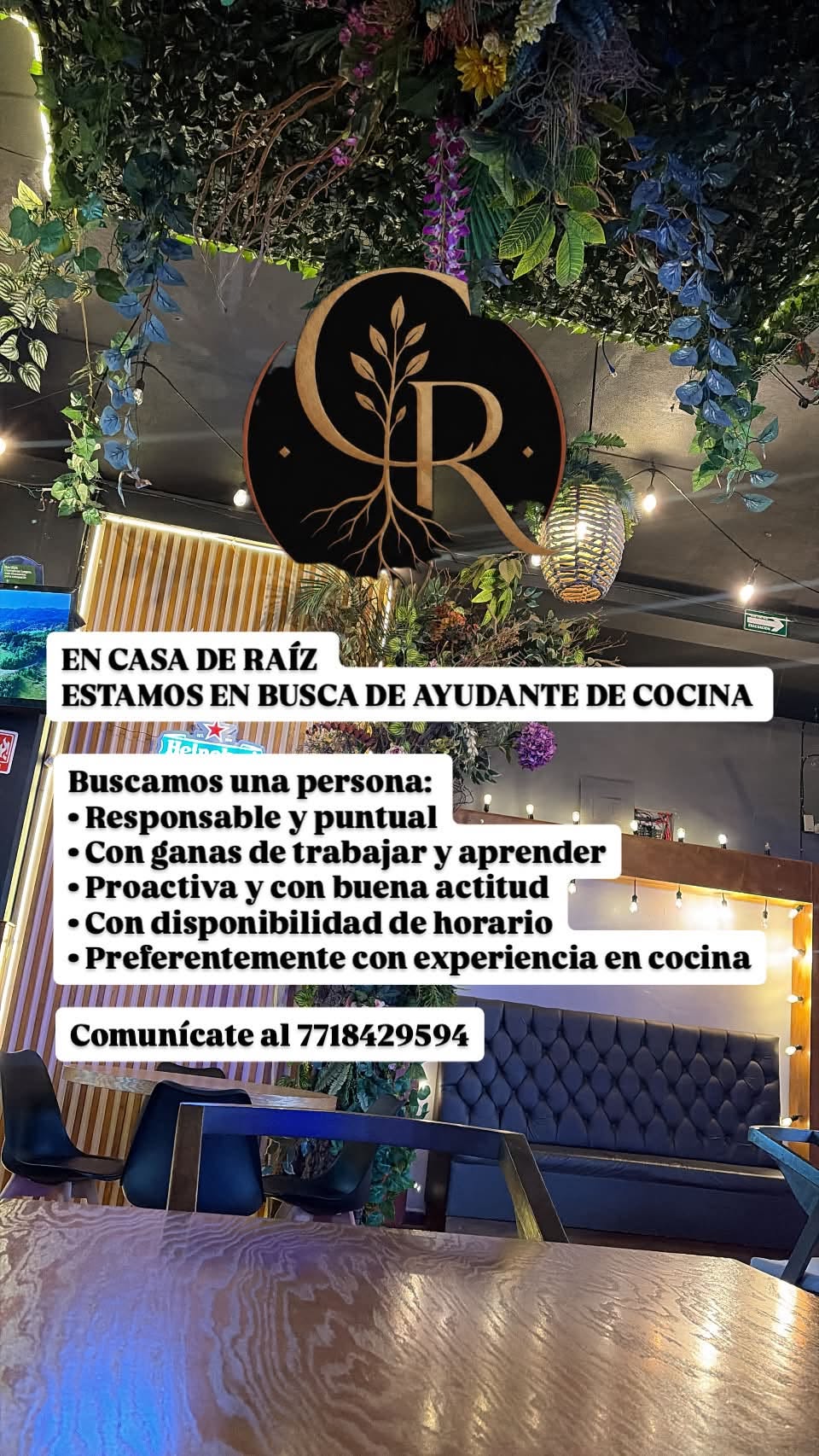 Ayudante de Cocina