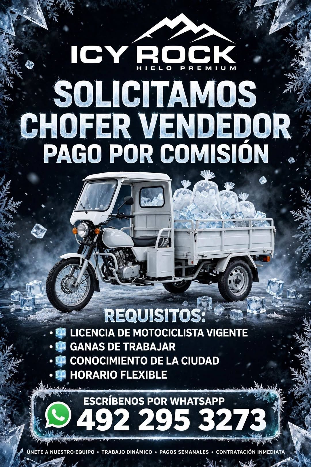 Chofer Vendedor