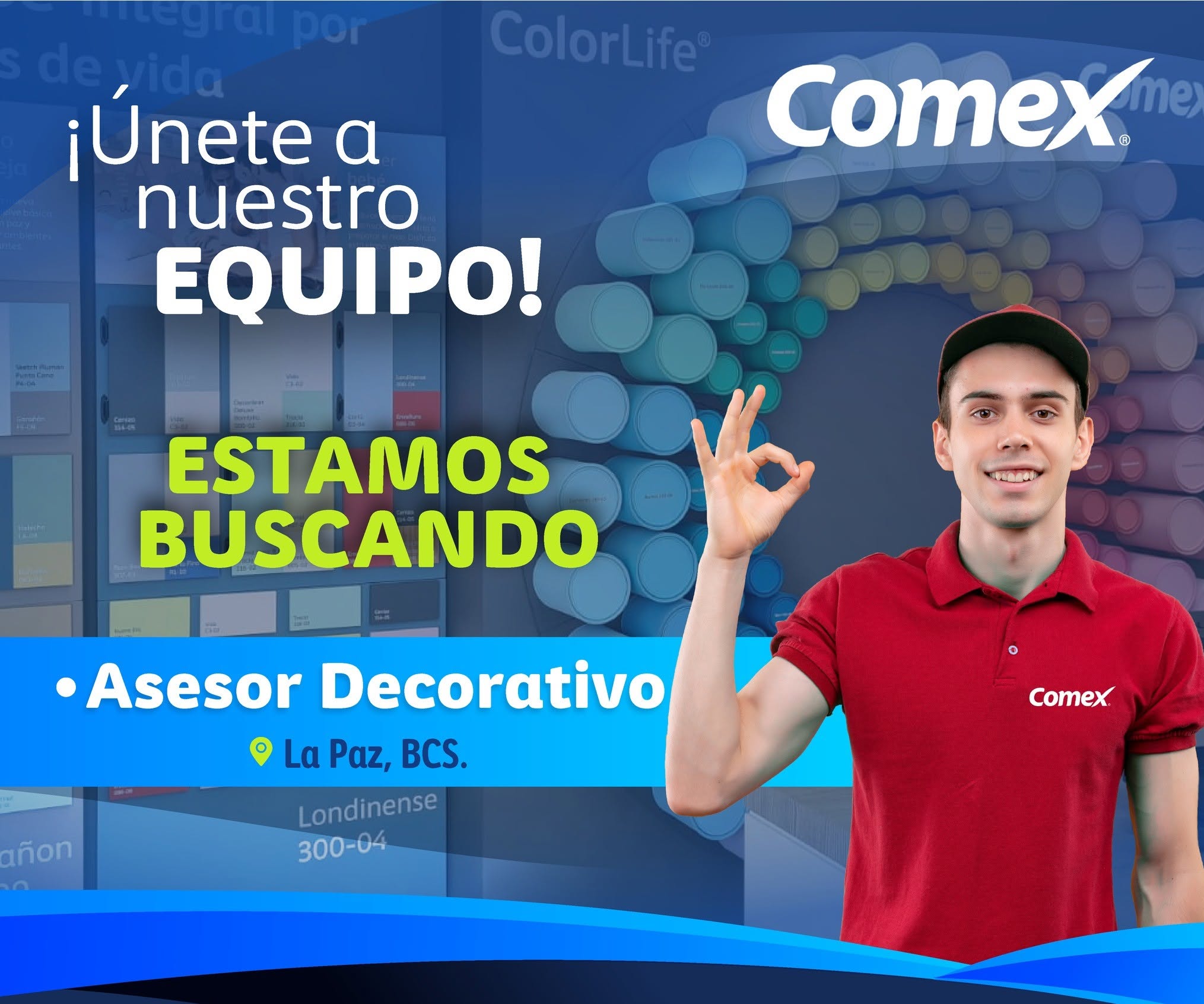 Asesor Decorativo