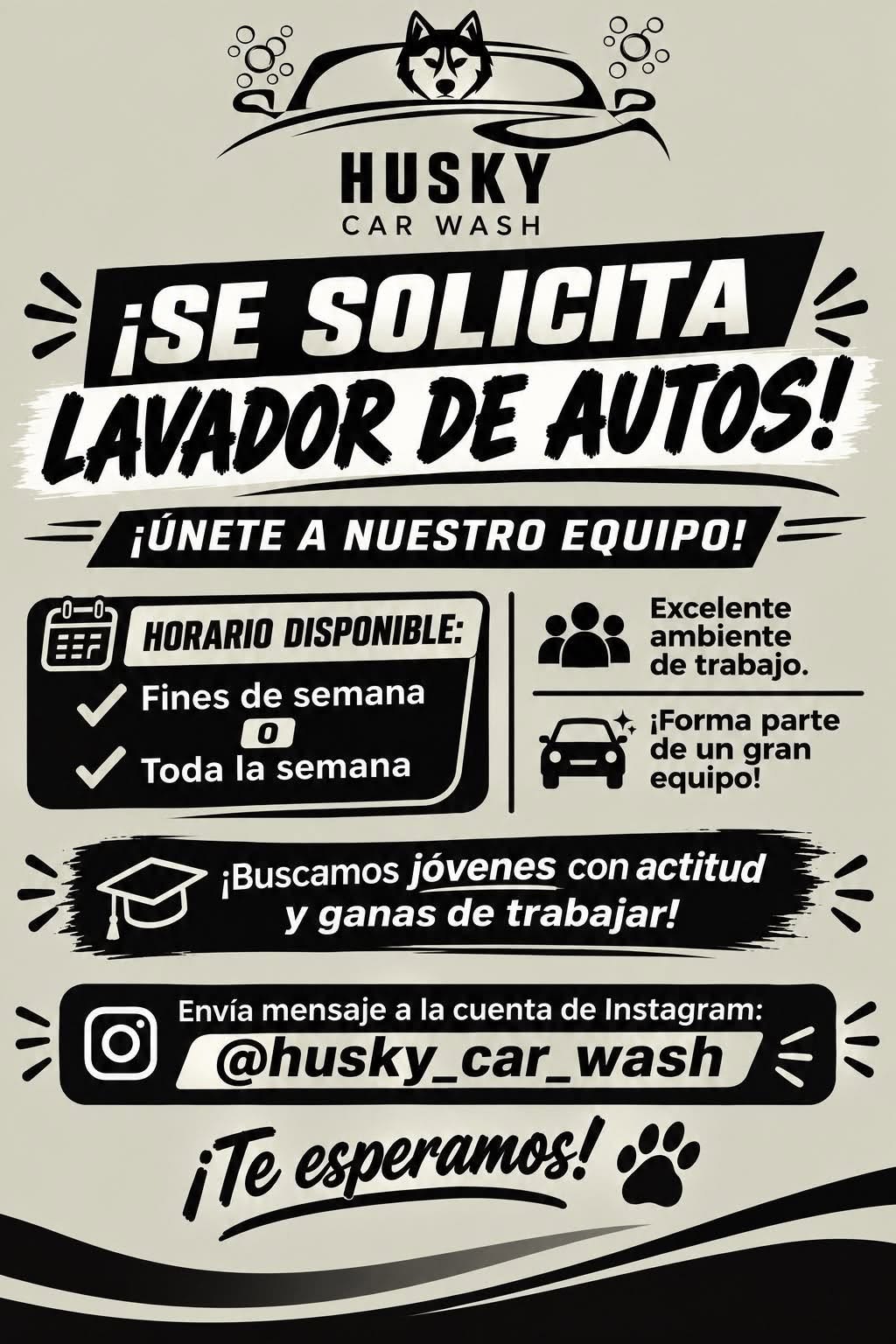 Lavador de Autos