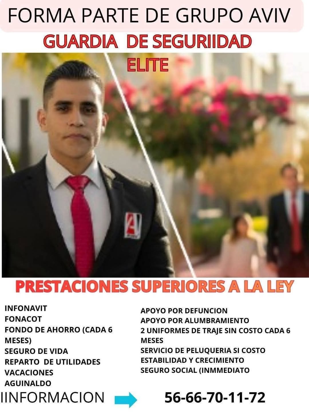 Guardia de Seguridad