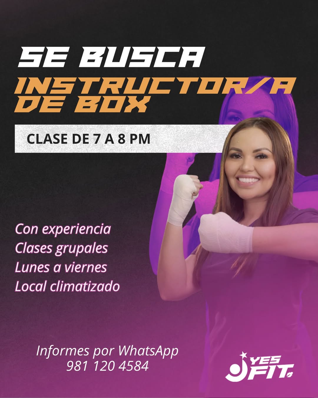 Instructor de Box