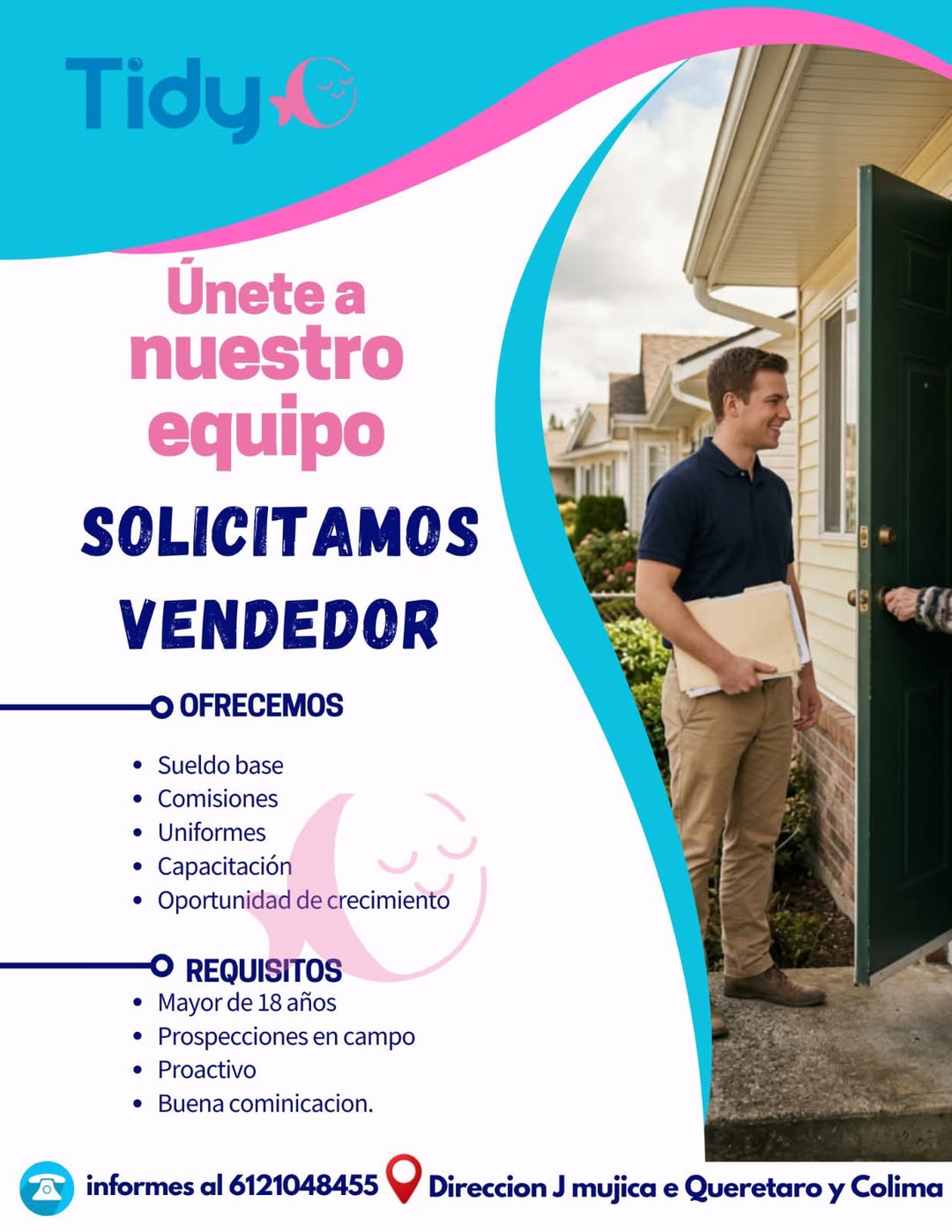 Vendedor de Campo