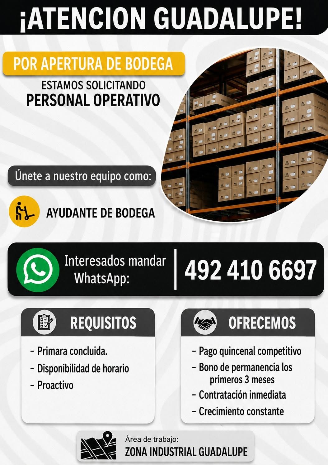 Ayudante de Bodega