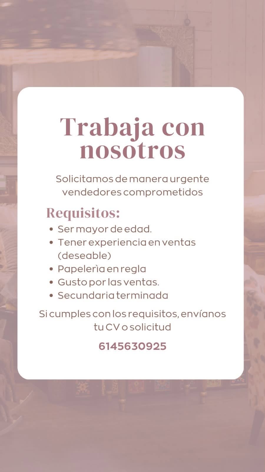 Vendedor