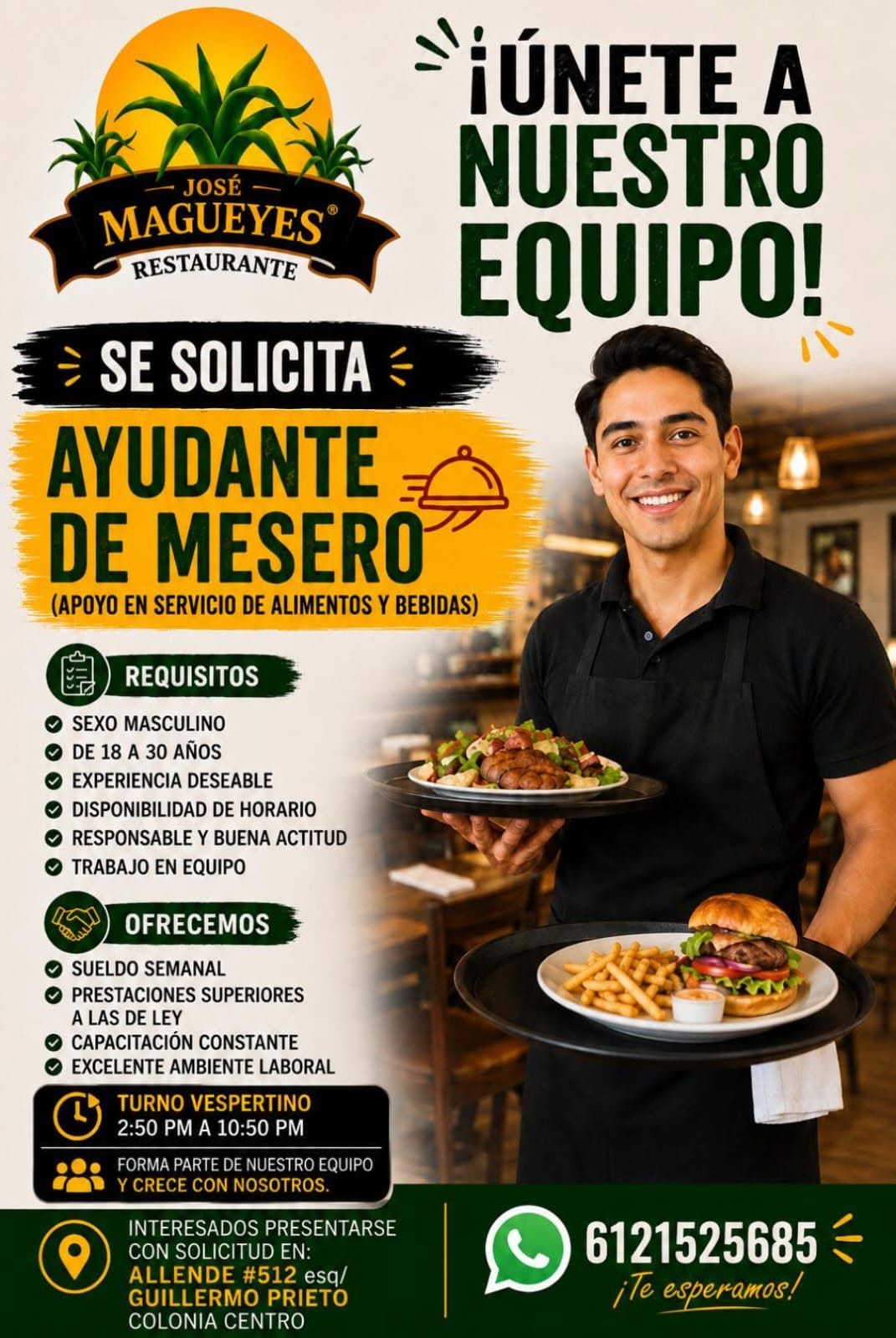 Ayudante de Mesero