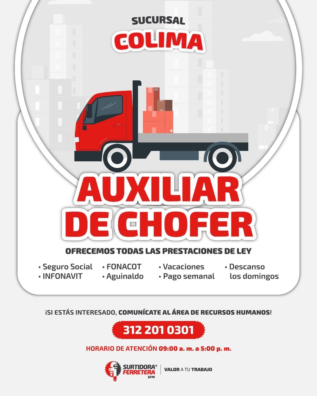 Auxiliar de Chofer