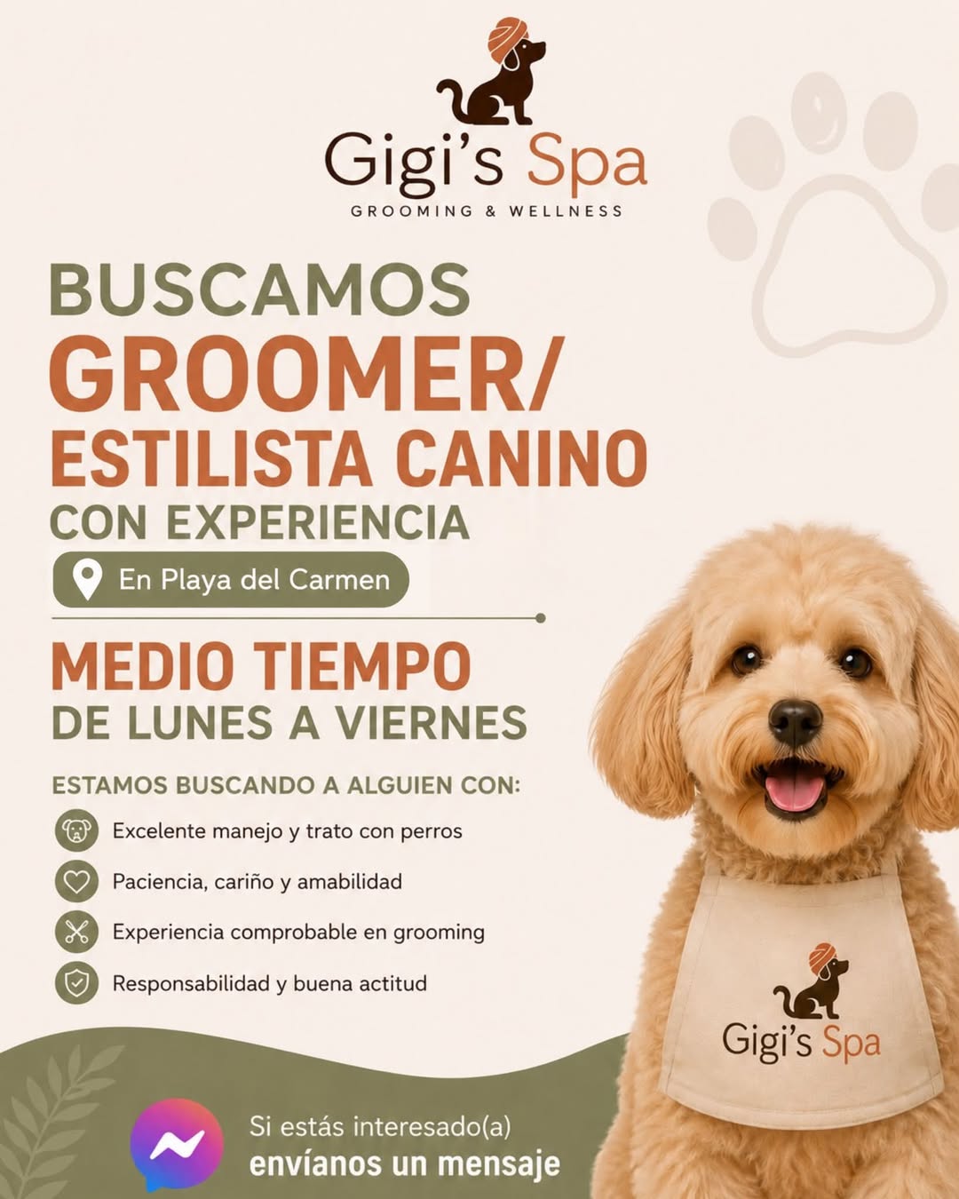 Groomer / Estilista Canino