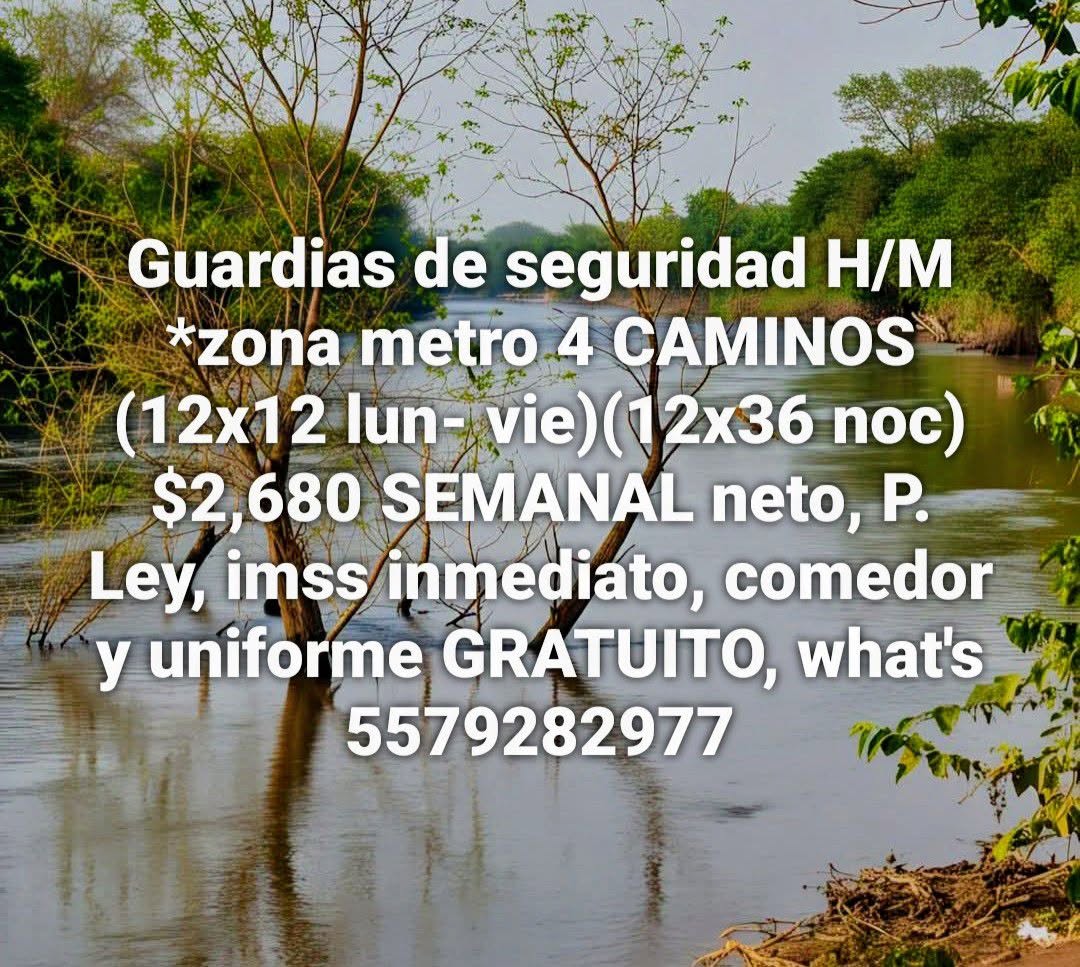 Elemento de Seguridad Privada