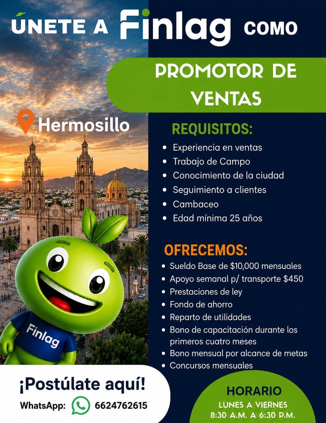 Promotor(a) de ventas