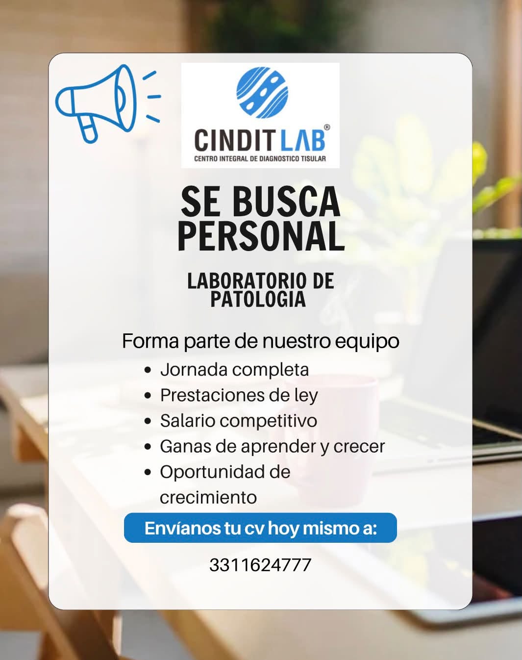 Recepcionista