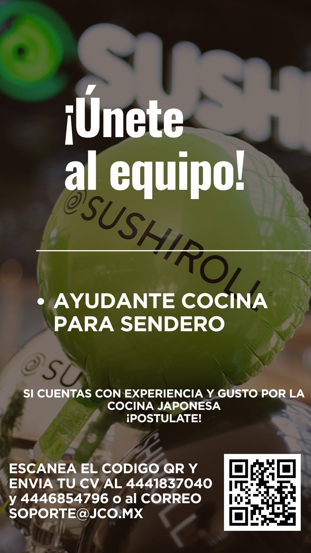 Ayudante de Cocina