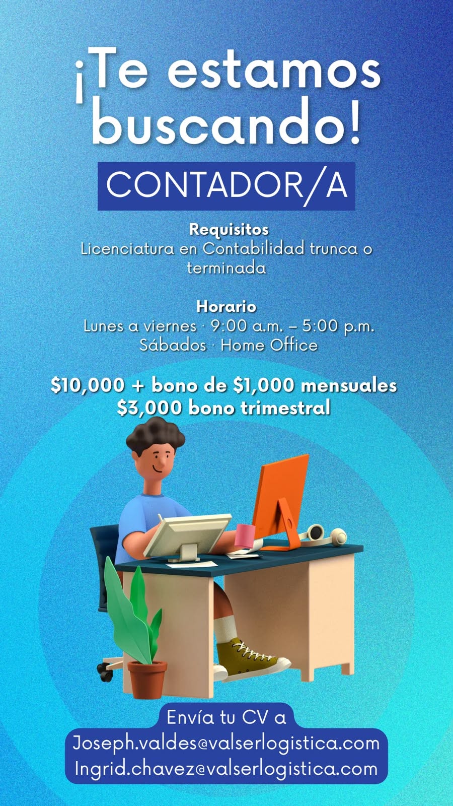 Contador/a
