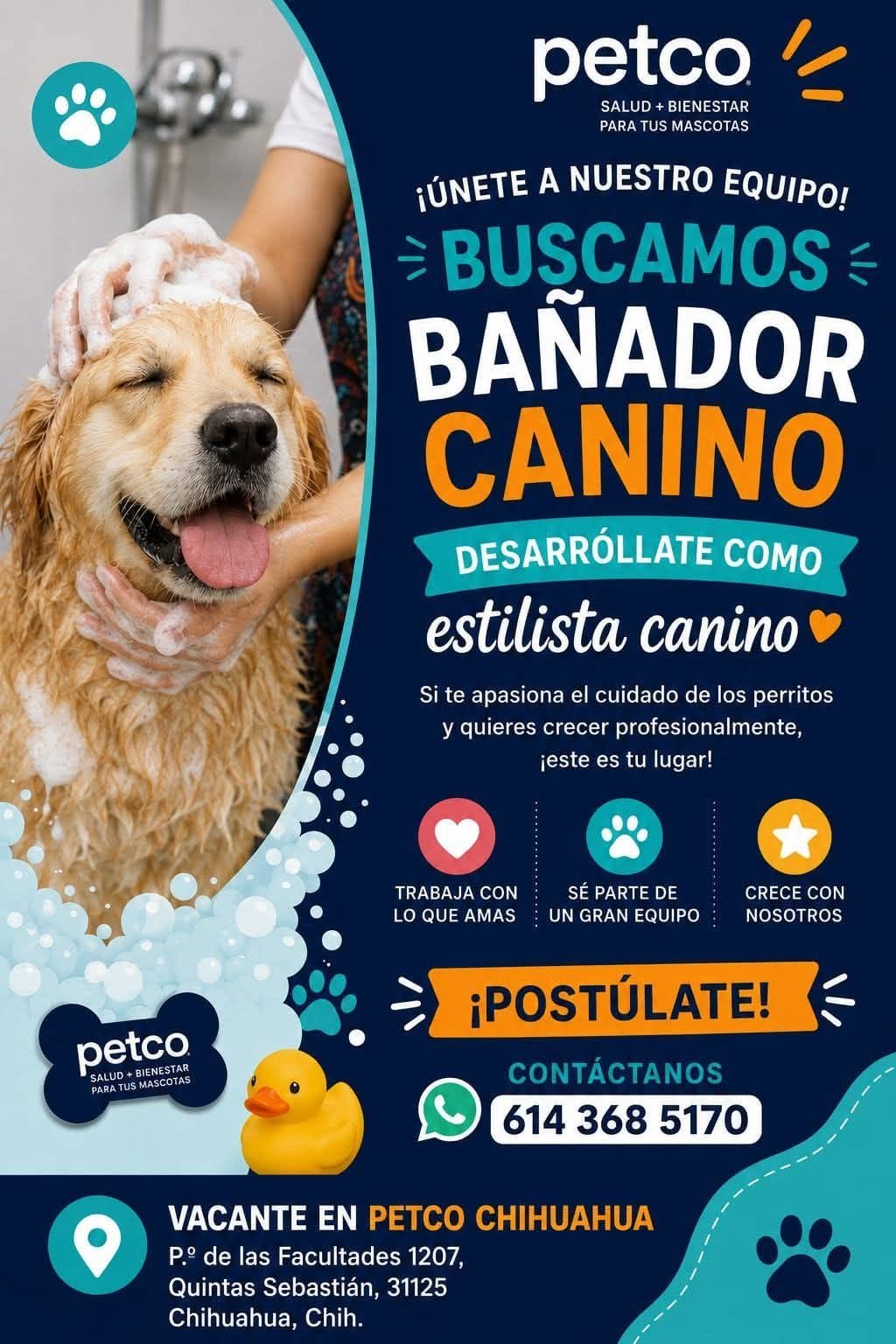 Bañador de Perritos