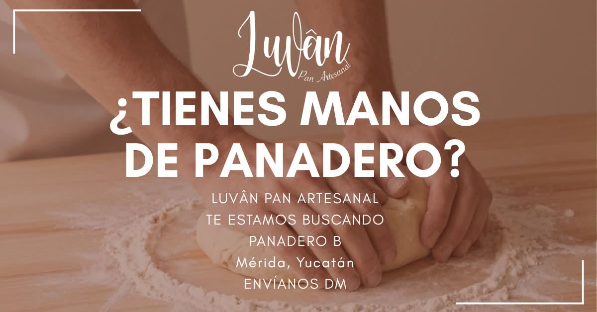 Panadero B
