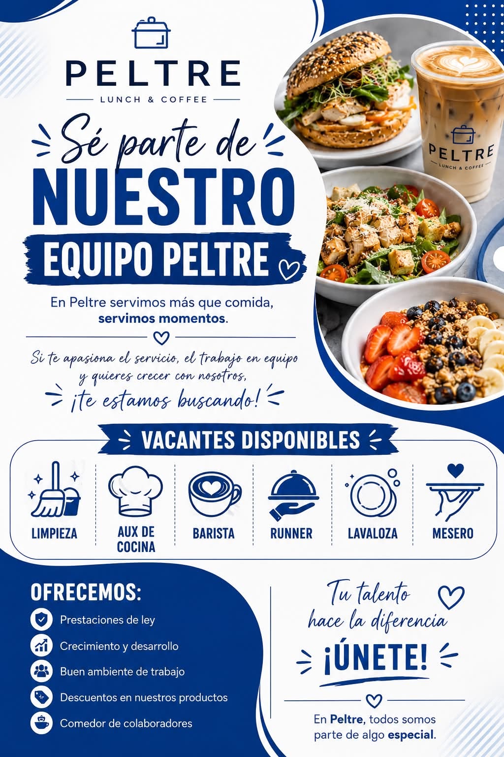 Auxiliar de Cocina