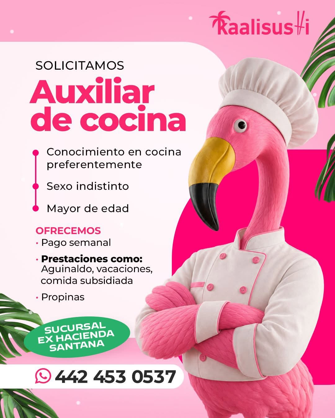 Auxiliar de cocina