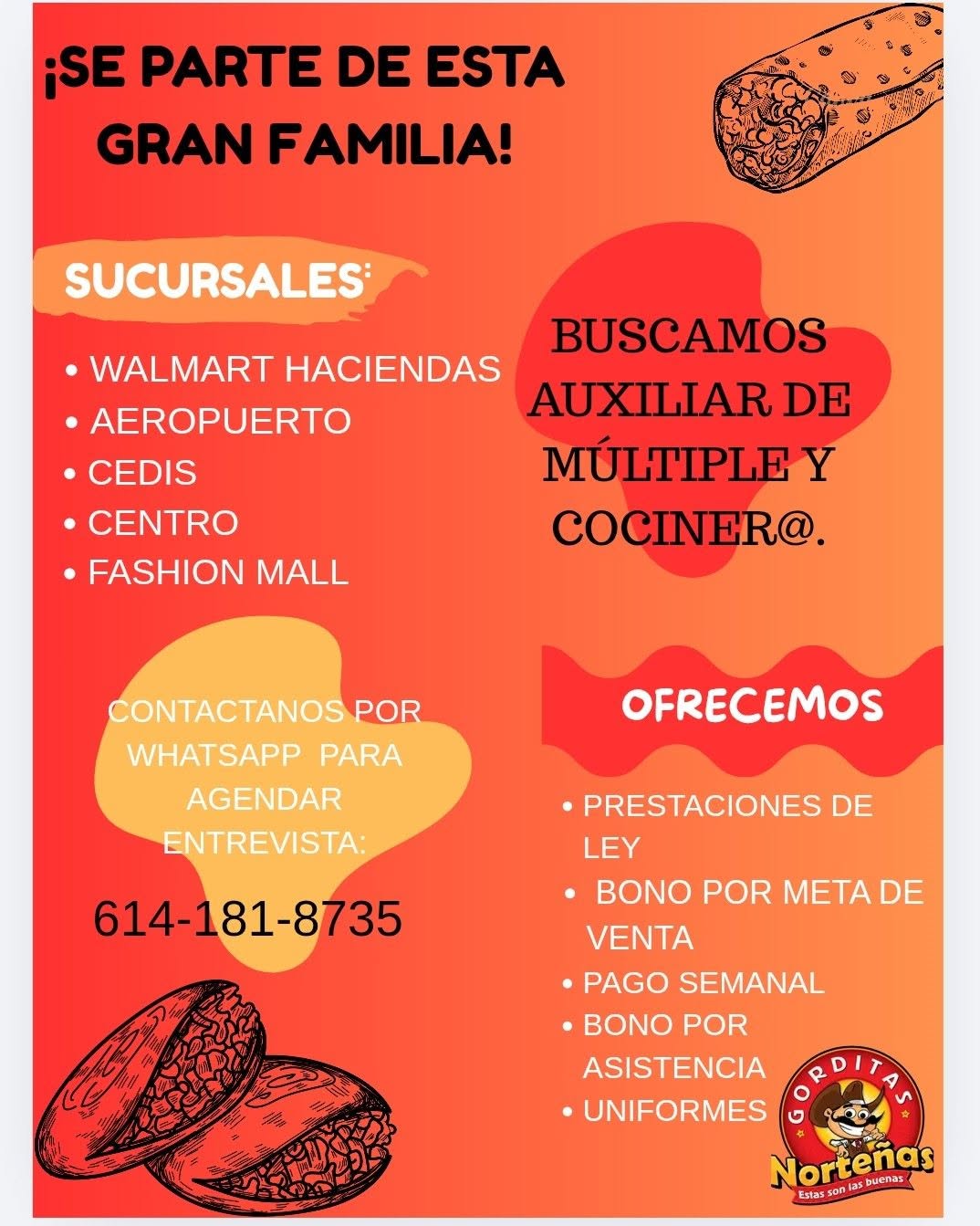 Auxiliar de CEDIS