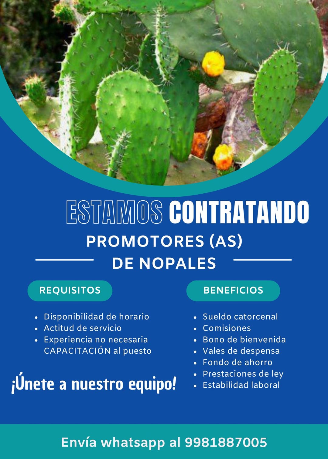 Promotor(a) de Nopales