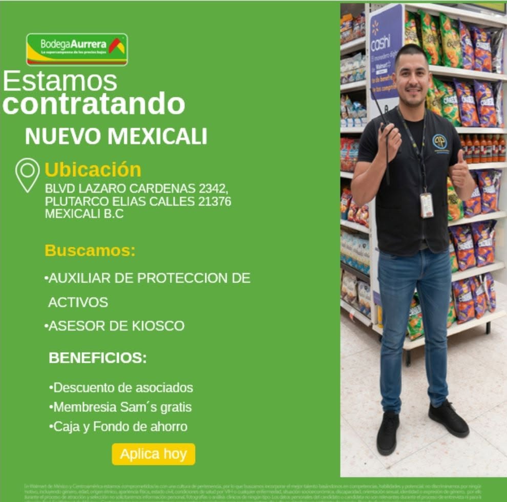 Auxiliar de Protección de Activos