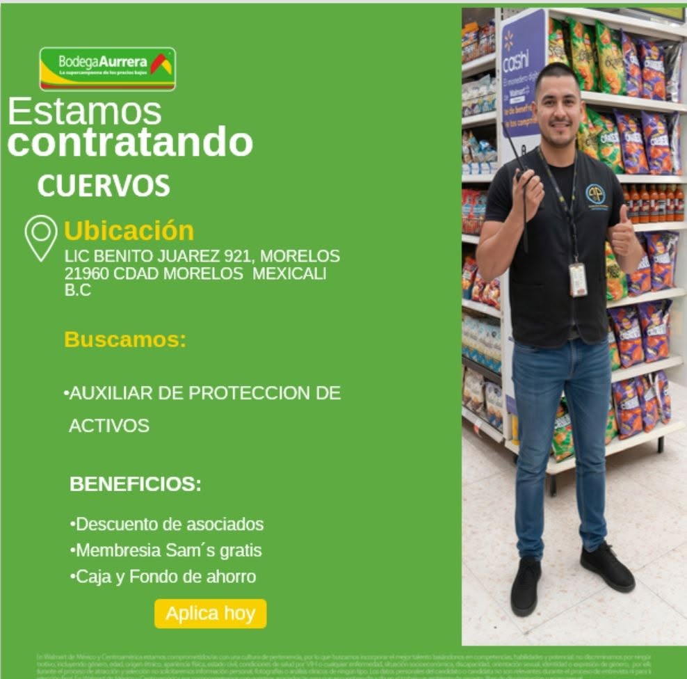 Auxiliar de Protección de Activos