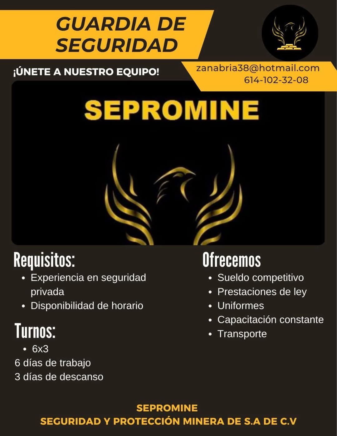 Guardia de Seguridad