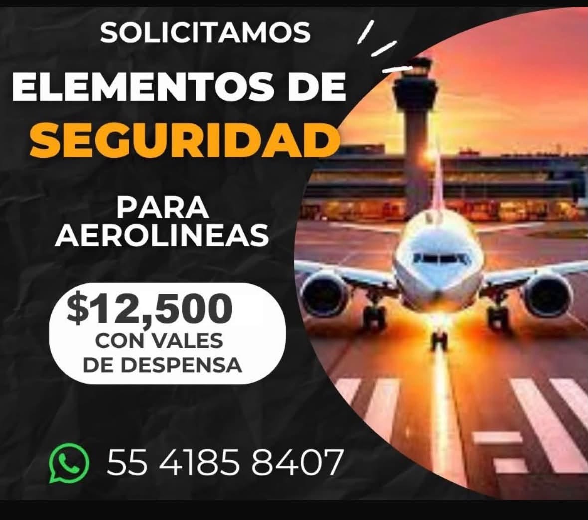 Elementos de Seguridad