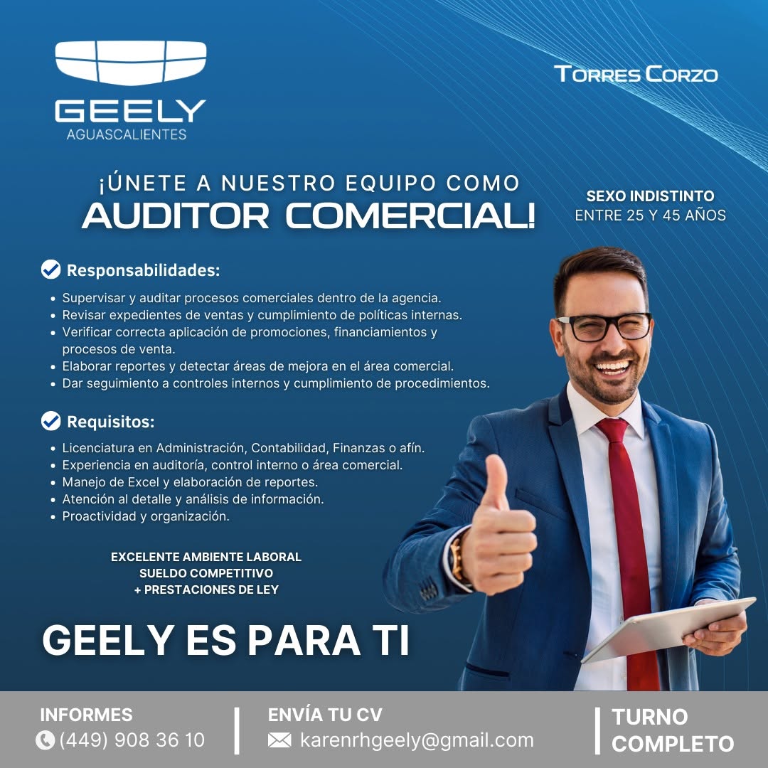 Auditor Comercial