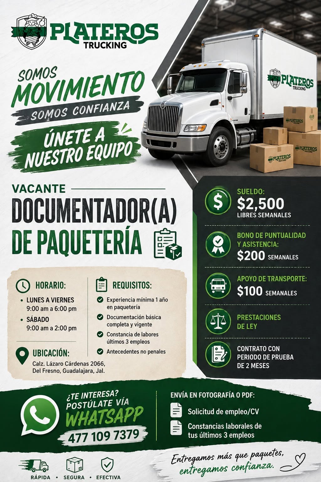 Documentador(a) de Paquetería