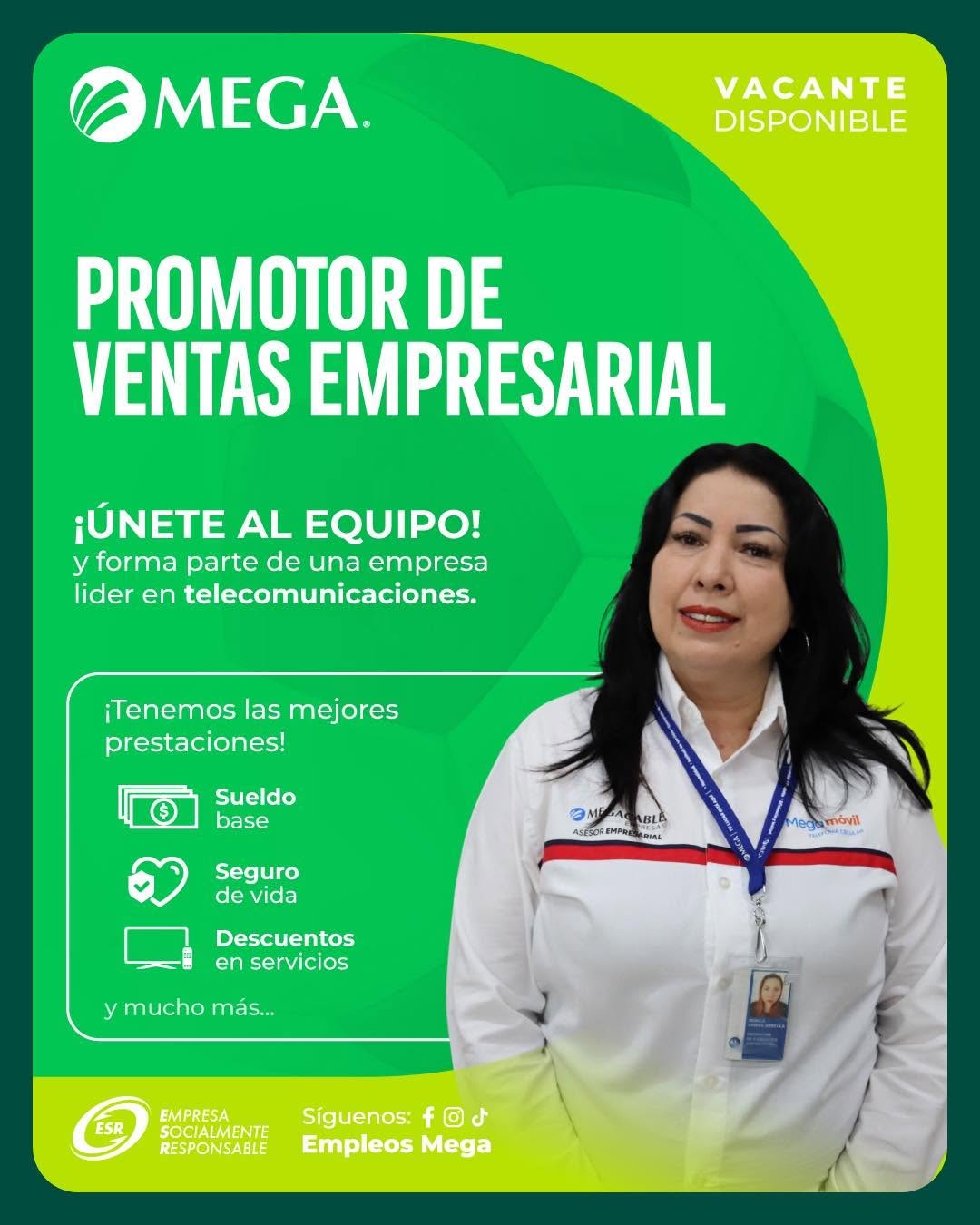 Promotor de Ventas Empresariales
