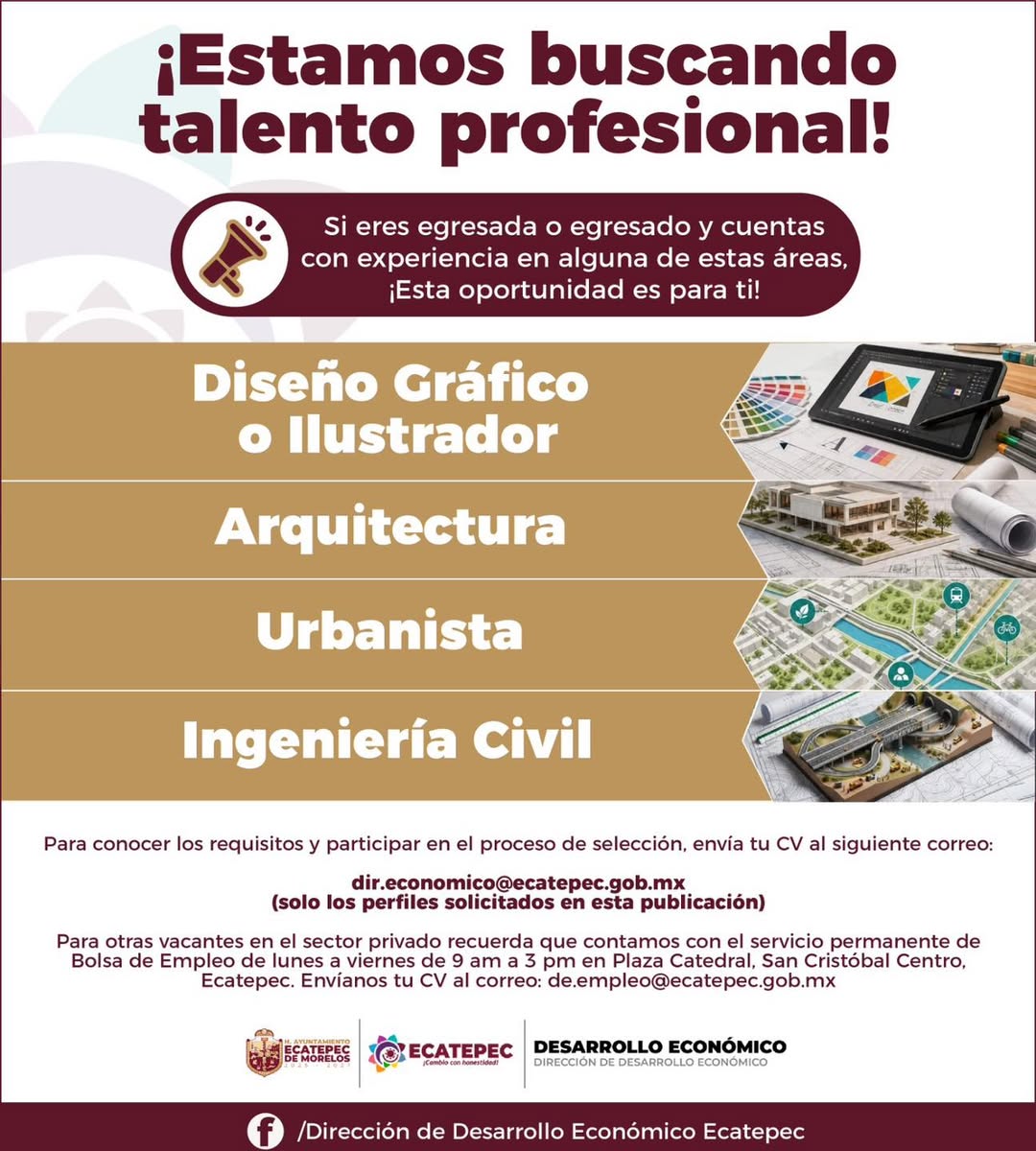 Diseñador Gráfico