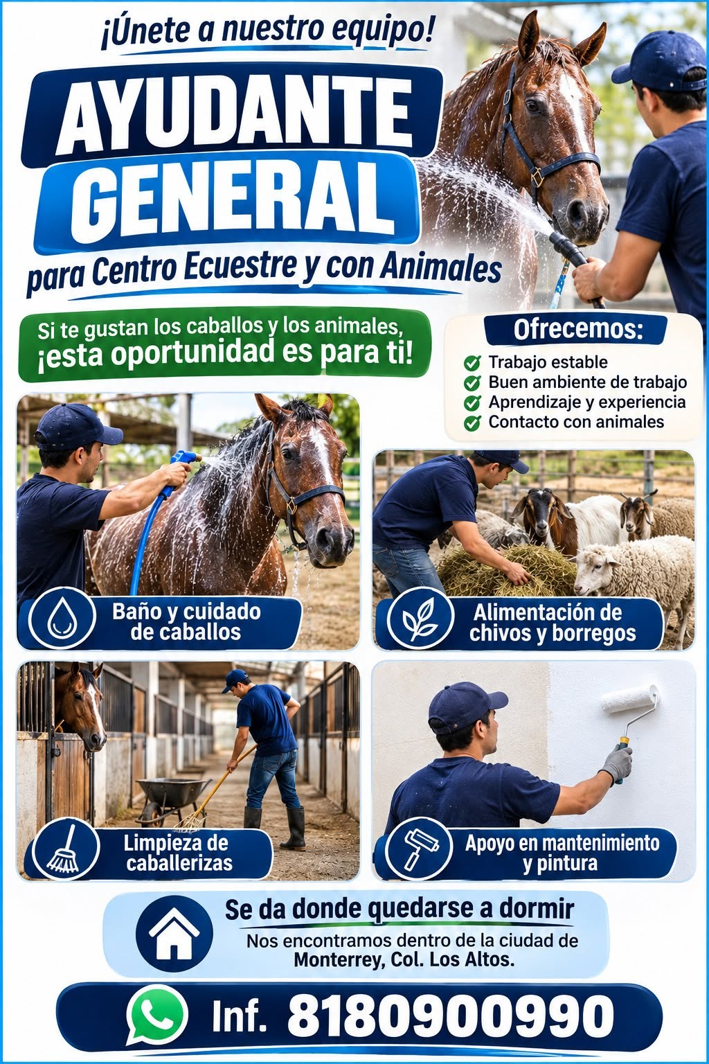 Ayudante General