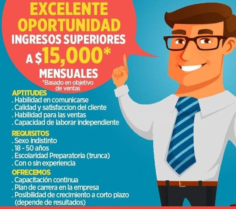 Vendedor