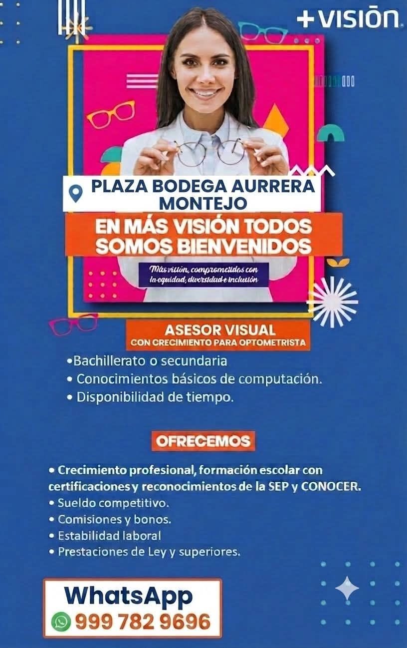 Asesor Visual
