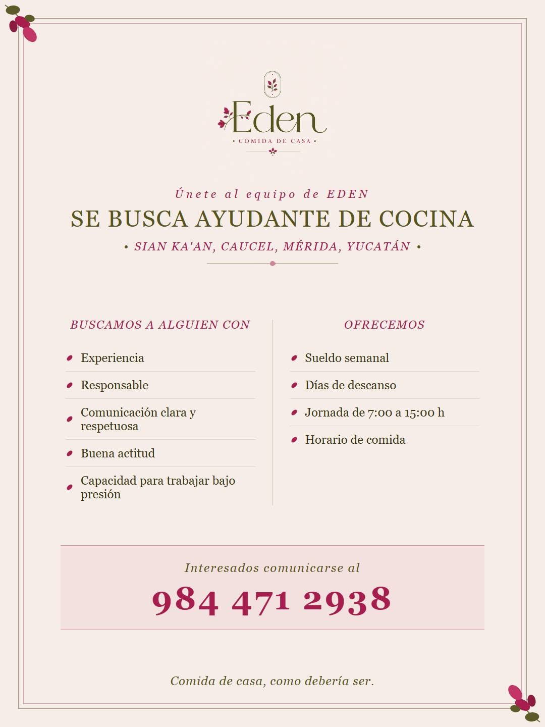Ayudante de Cocina