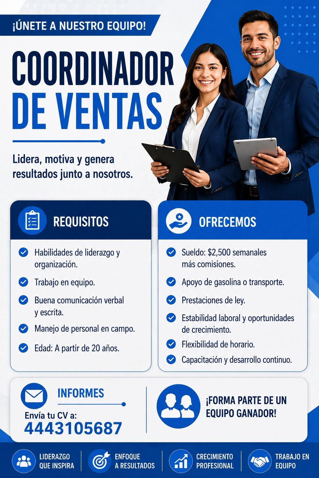 Coordinador(a) de Ventas