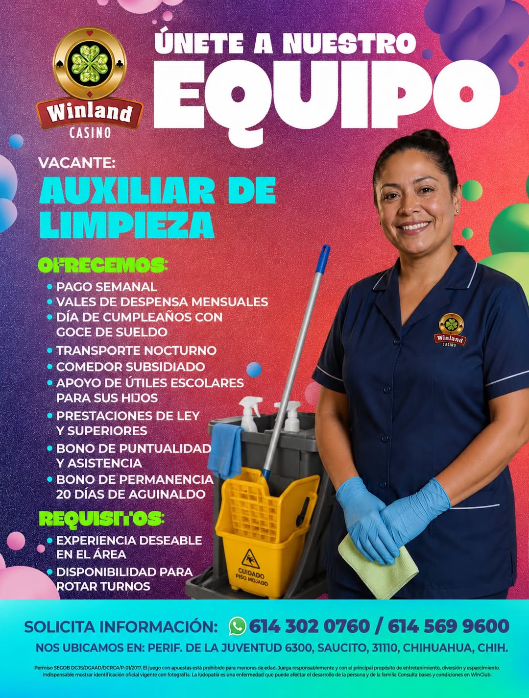 Auxiliar de Limpieza
