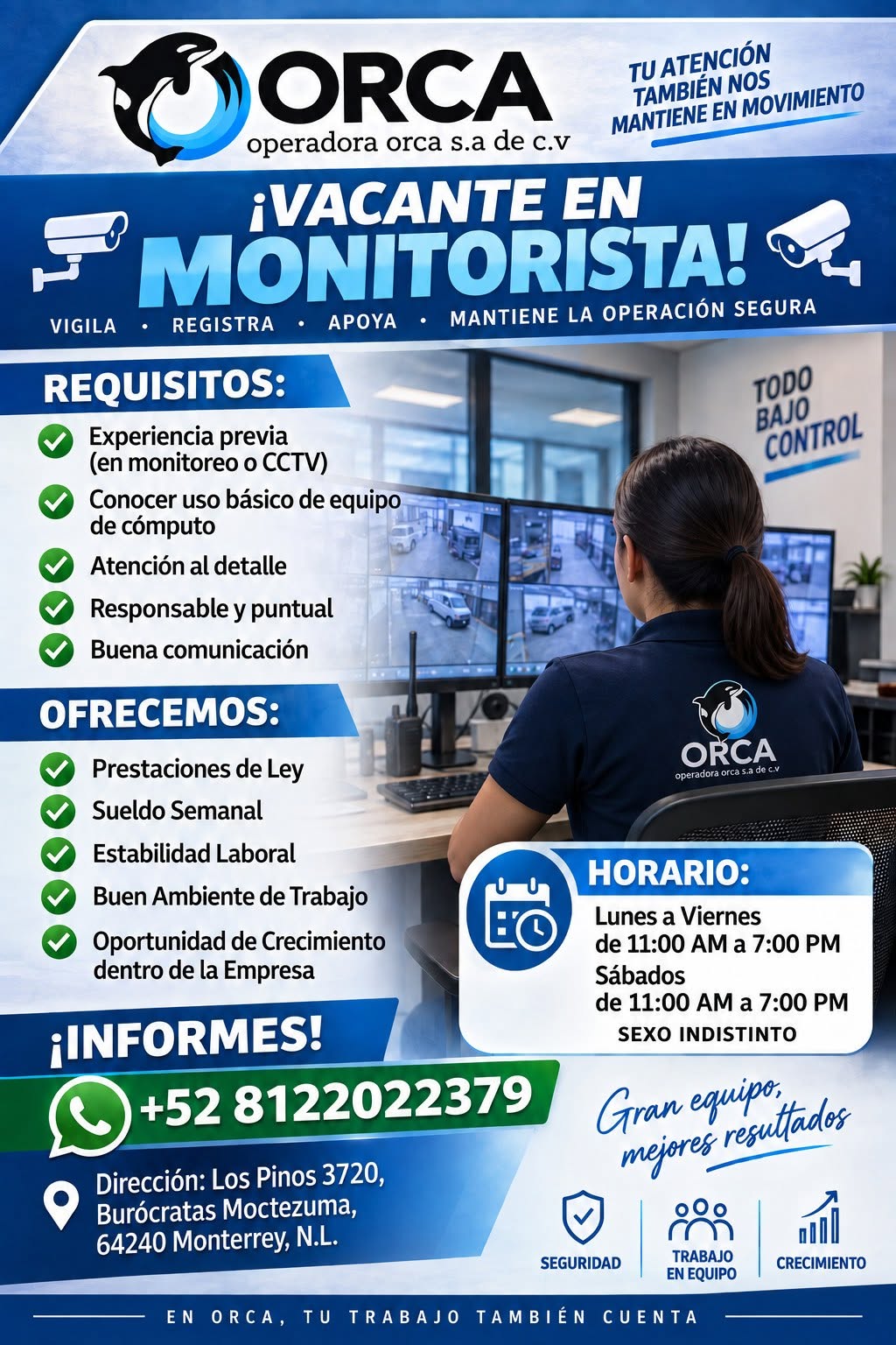 Monitorista