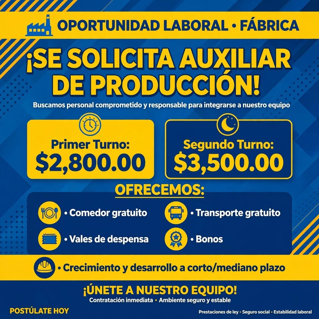 Auxiliar de Producción