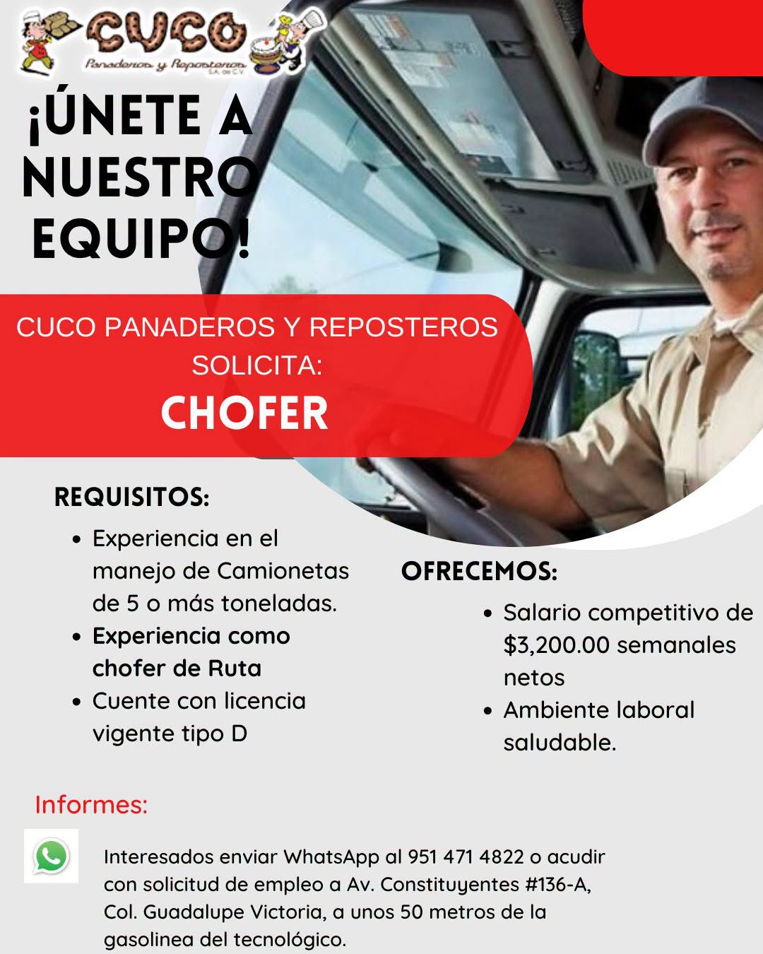 Chofer de Ruta