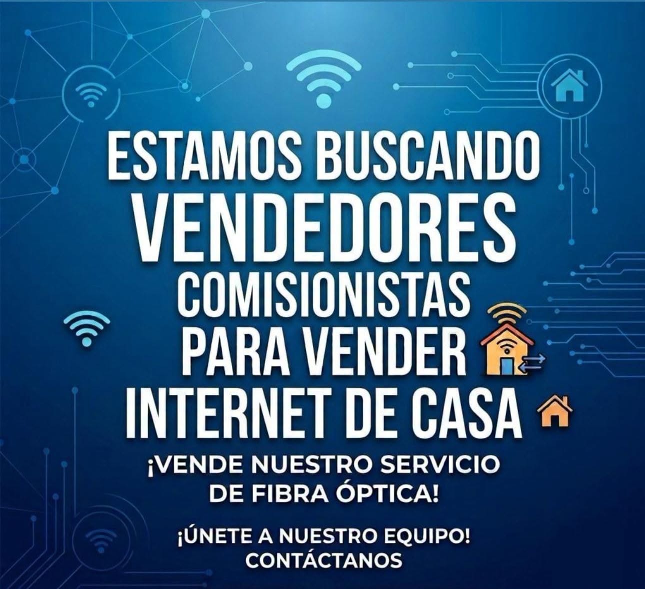 Vendedor Comisionista