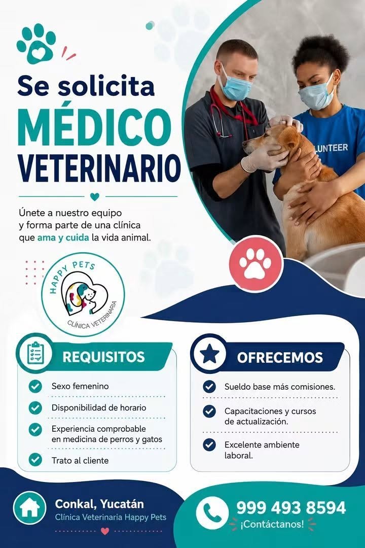 Médico Veterinario