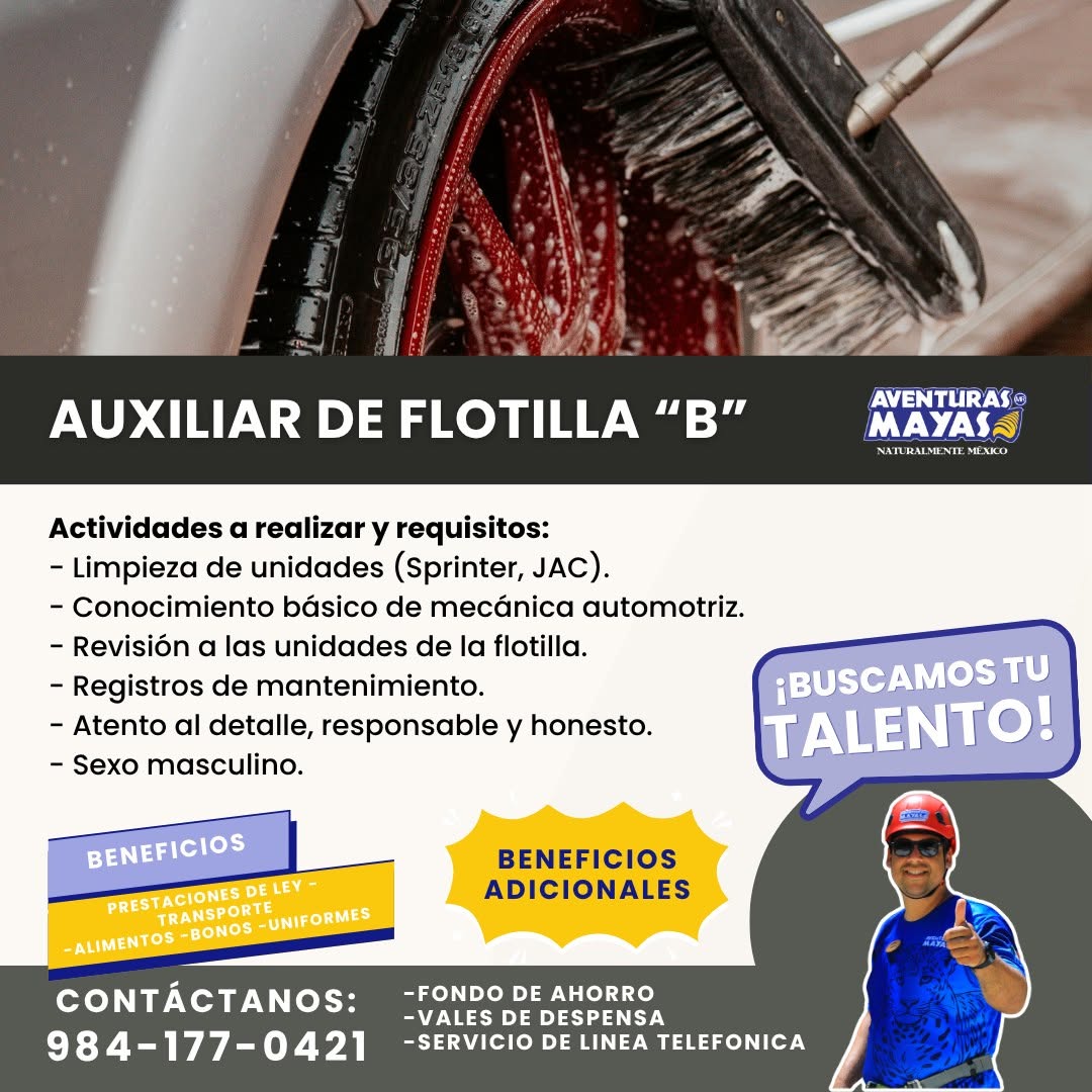 Auxiliar de Flotilla