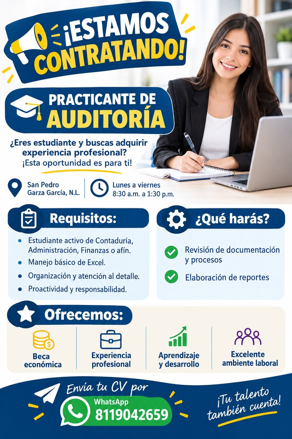 Practicante de Auditoría