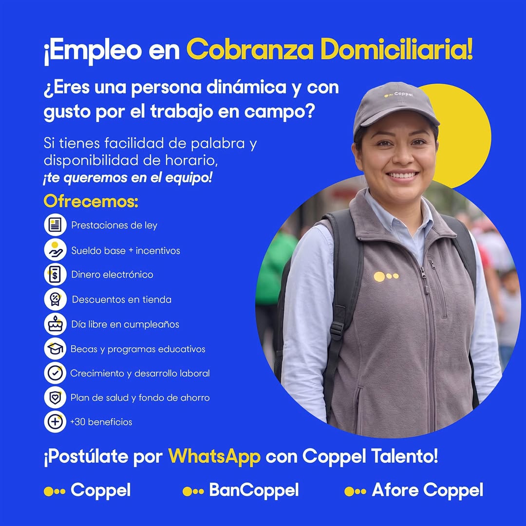 Ejecutivo de Cobranza Domiciliaria