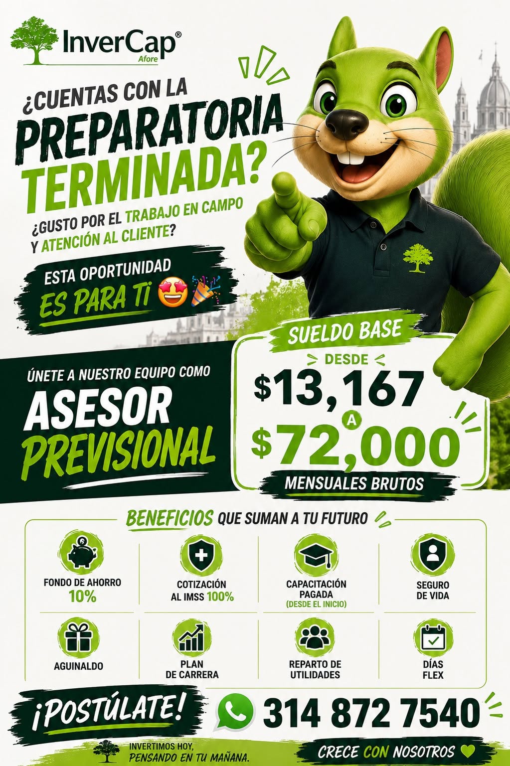 Asesor Previsional